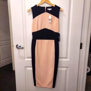 New York And Company Pale Pink And Black Below The Knee Dress Size XS, NWT